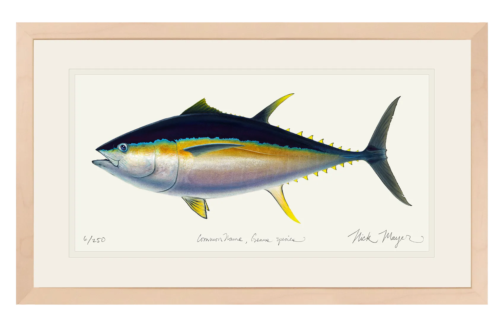 Bigeye Tuna Print