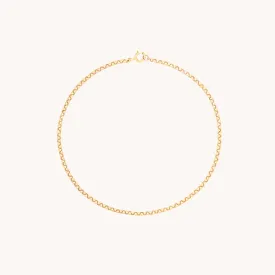 Chelsea Chain Bracelet in Solid Gold