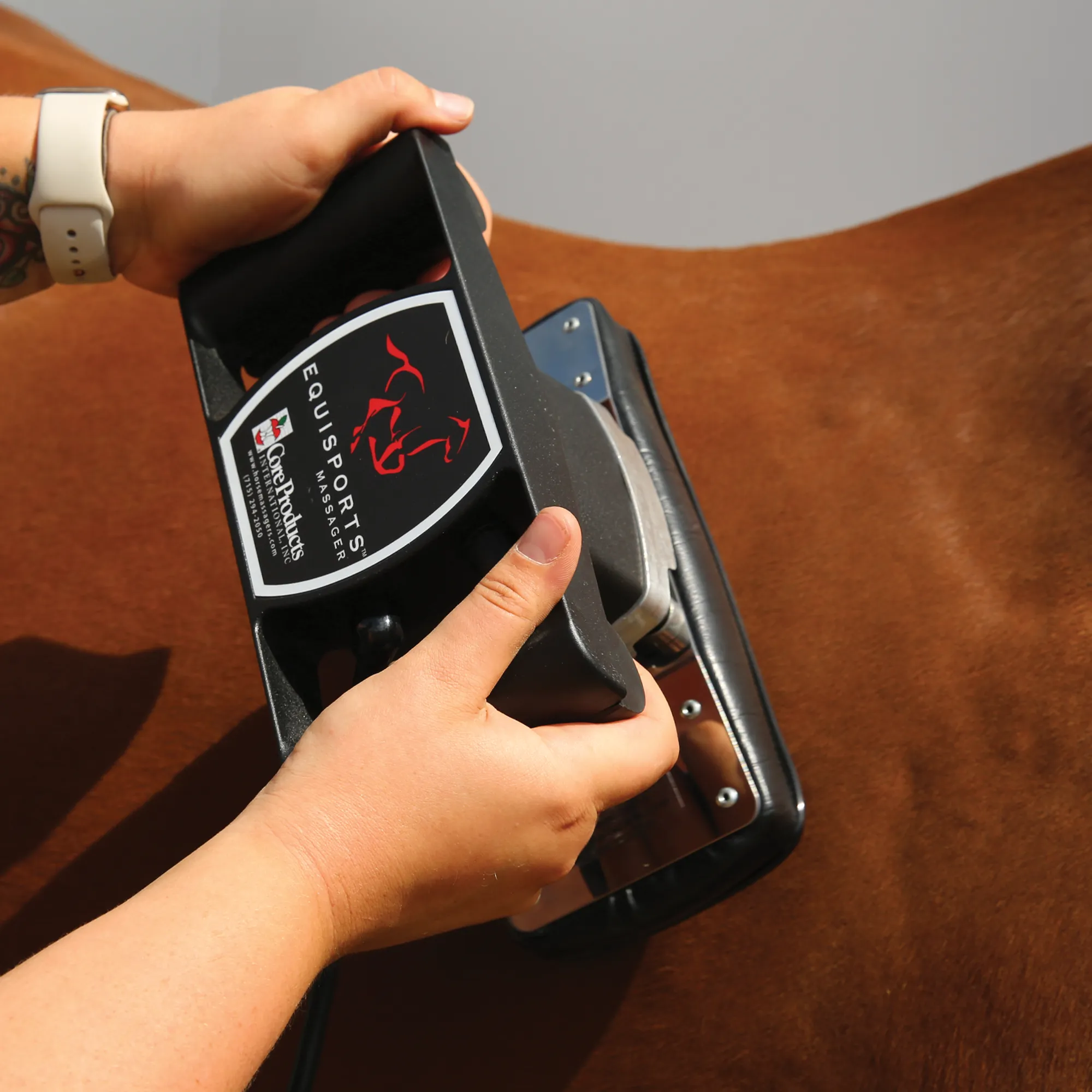 Equisports Equine Massager